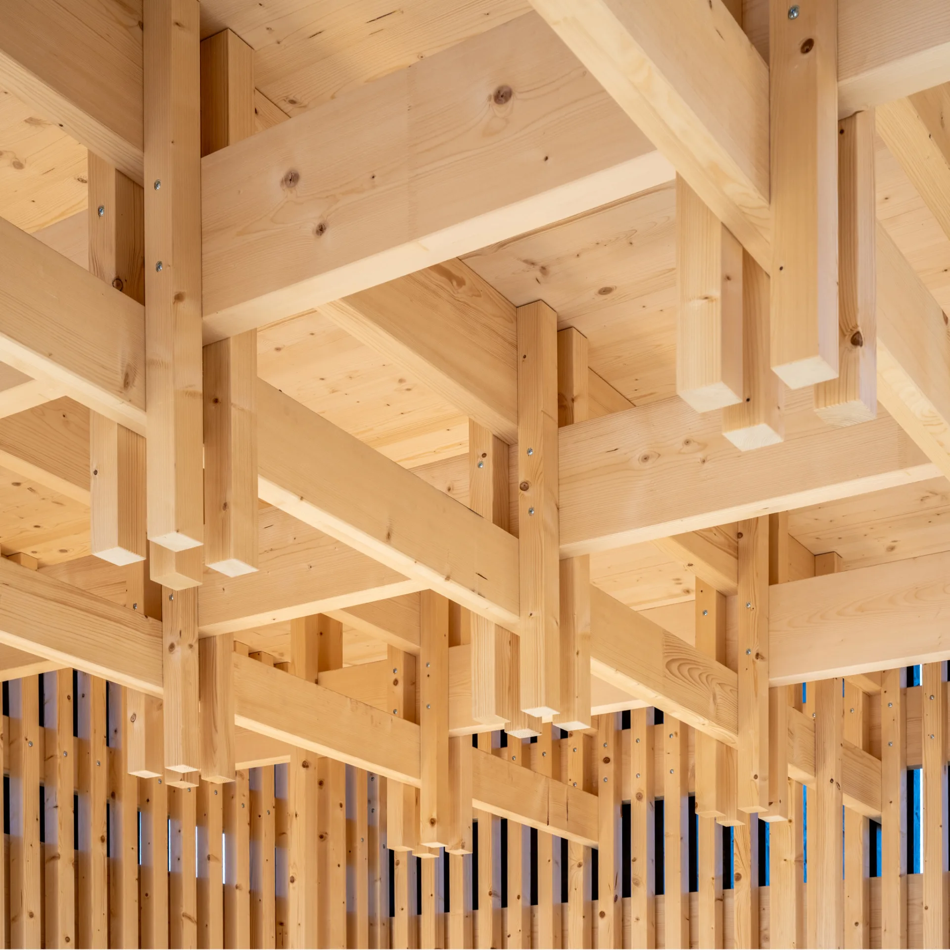 Neubau, Pavillon