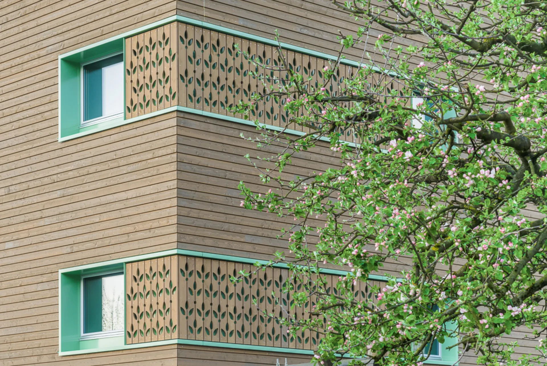 Neubau MFH Rueti 13 073 0055
