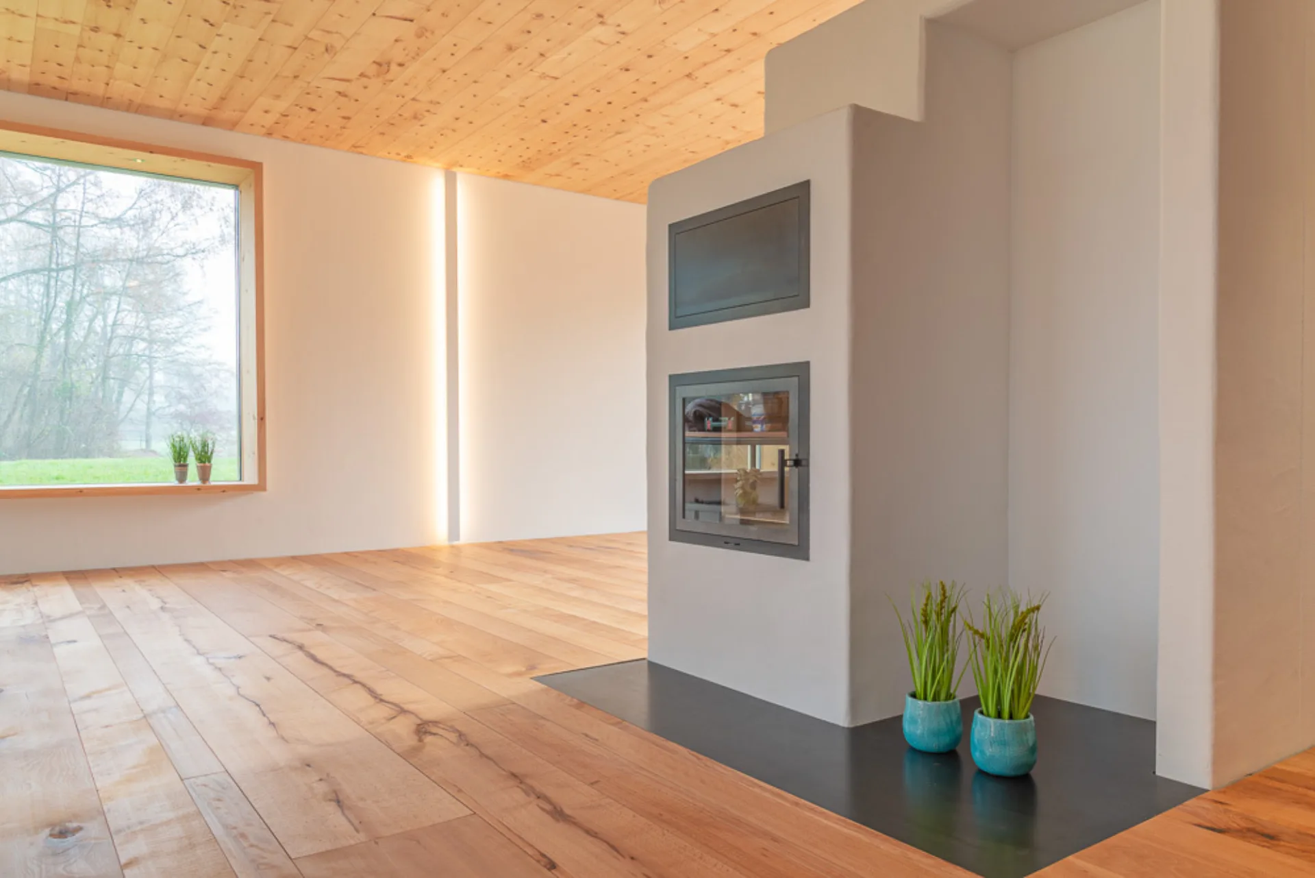Neubau DEFH, Wetzikon