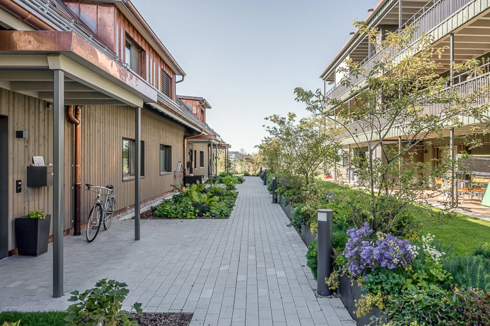 Neubau MFH, Nänikon