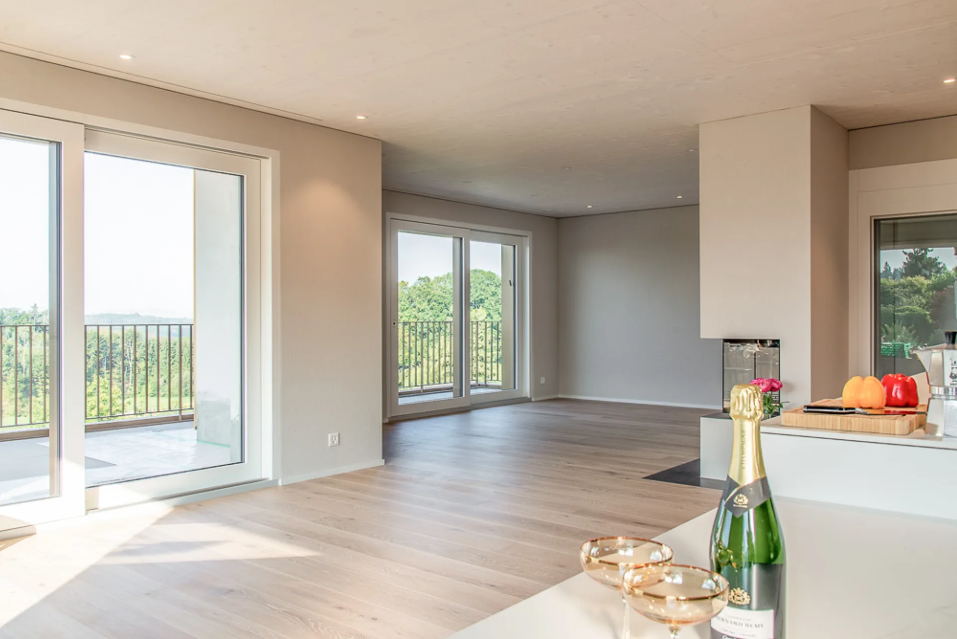 Neubau DEFH, Pfaeffikon