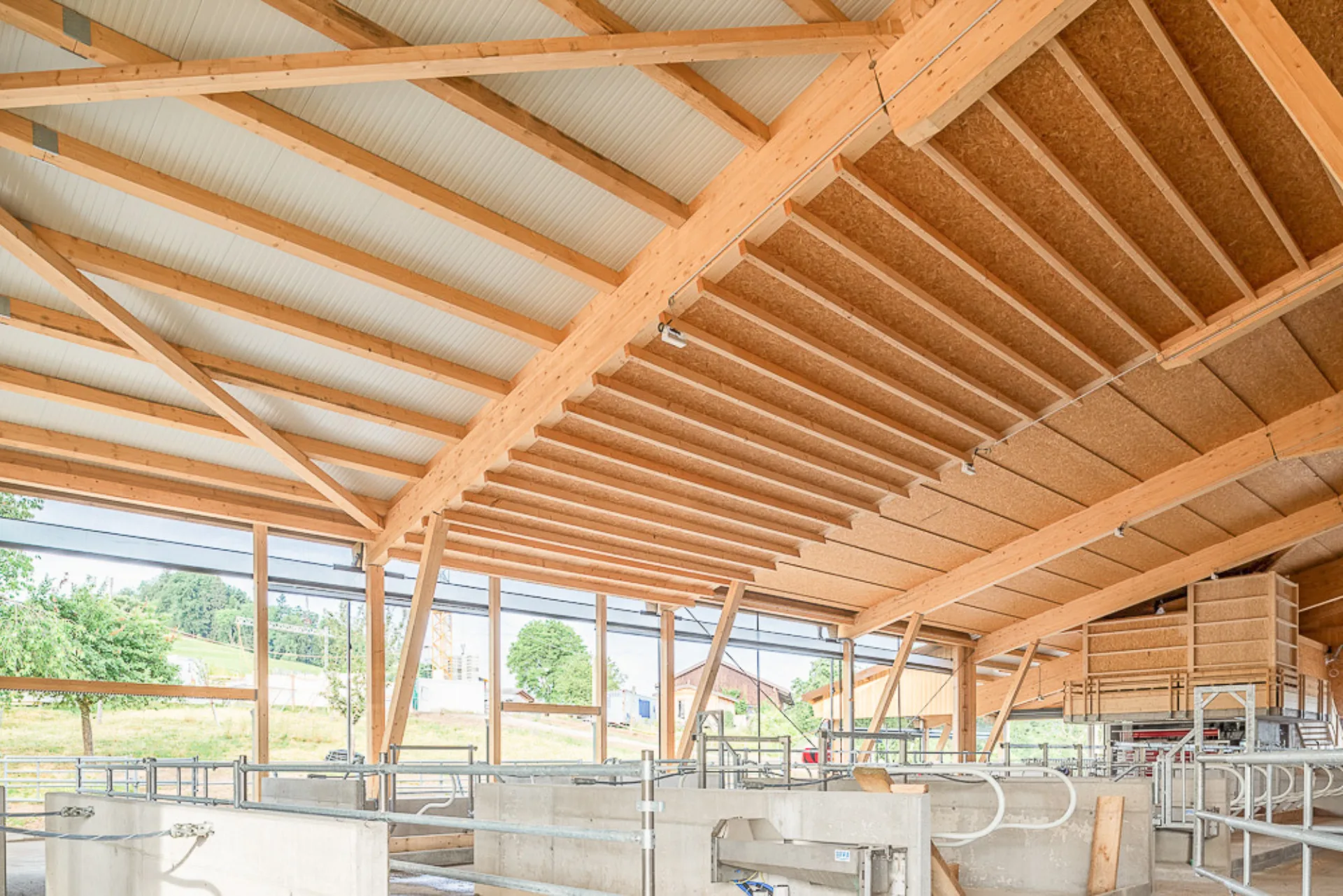 Neubau Stall, Kleintierstall, Bauma