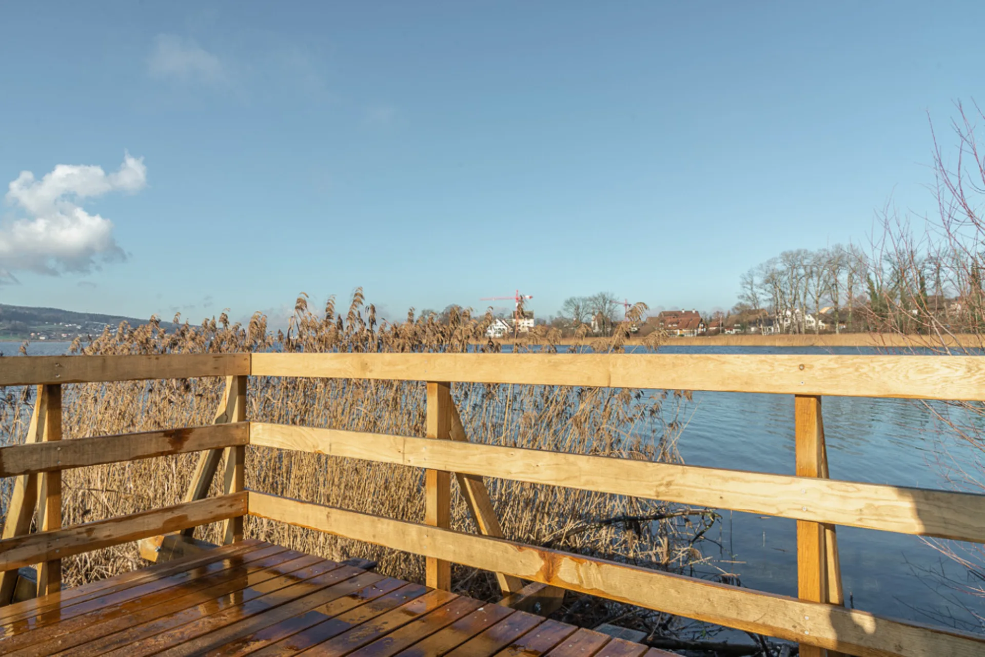 Spezialbaute Seesteg, Greifensee