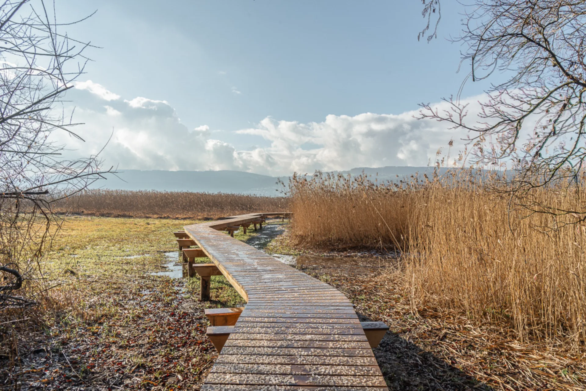 Spezialbaute Seesteg, Greifensee