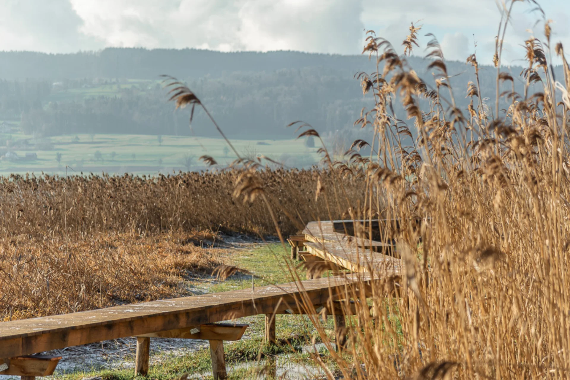 Spezialbaute Seesteg, Greifensee
