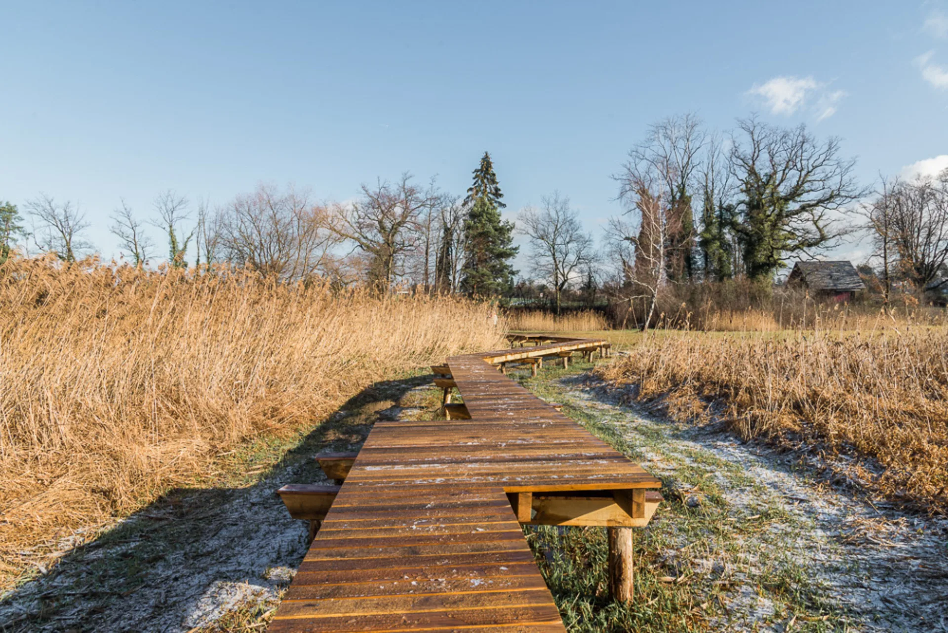 Spezialbaute Seesteg, Greifensee