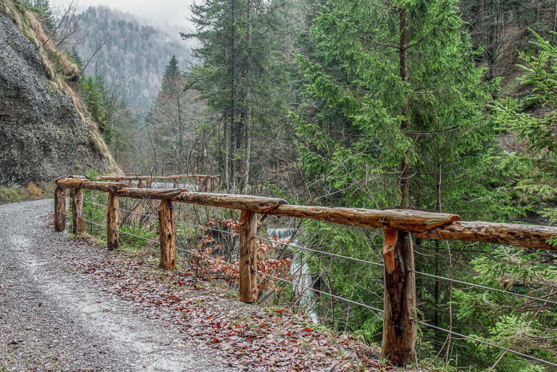 Oeffentliche Baute Bachgelaender, Wald