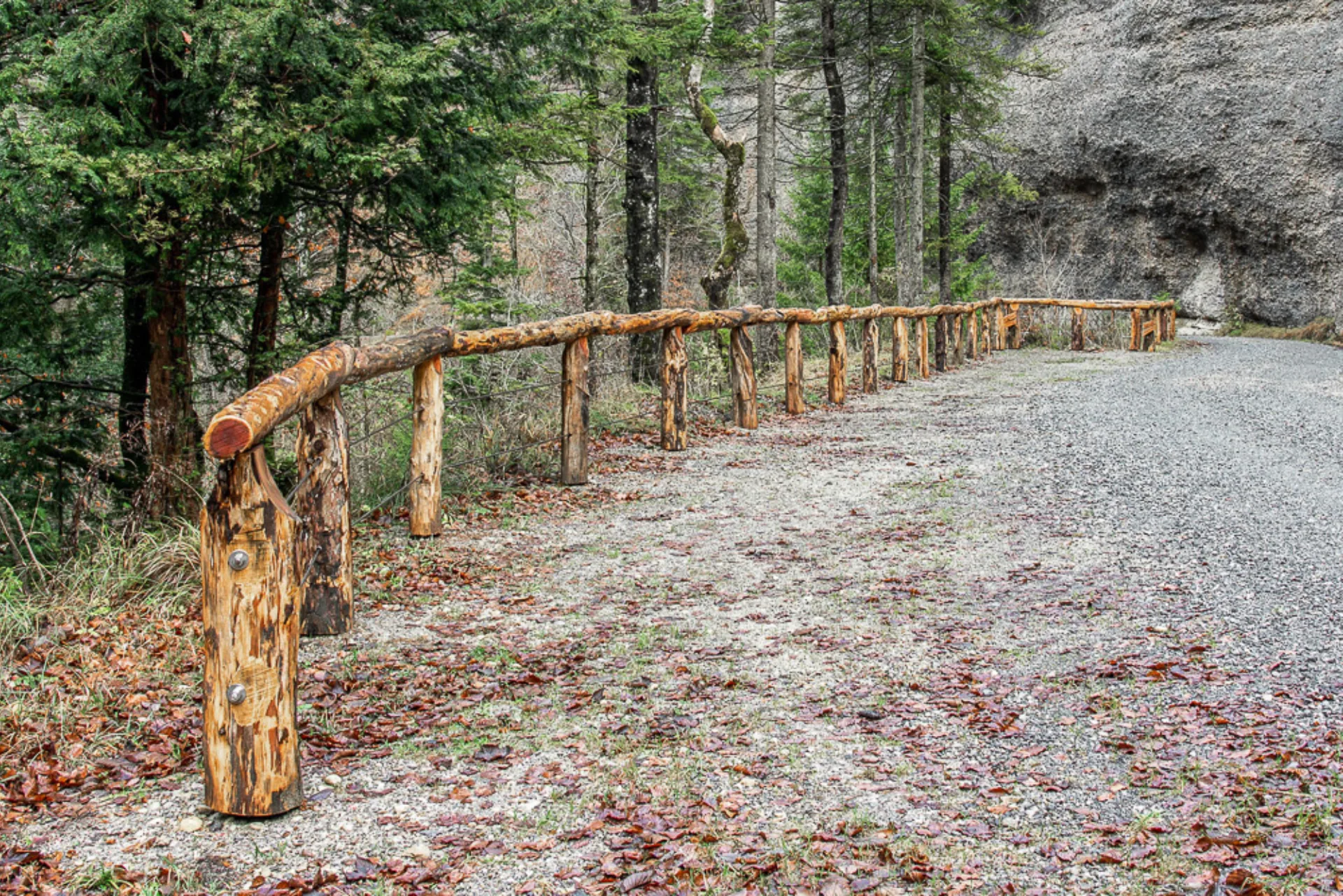 Öffentliche Baute Bachgeländer, Wald