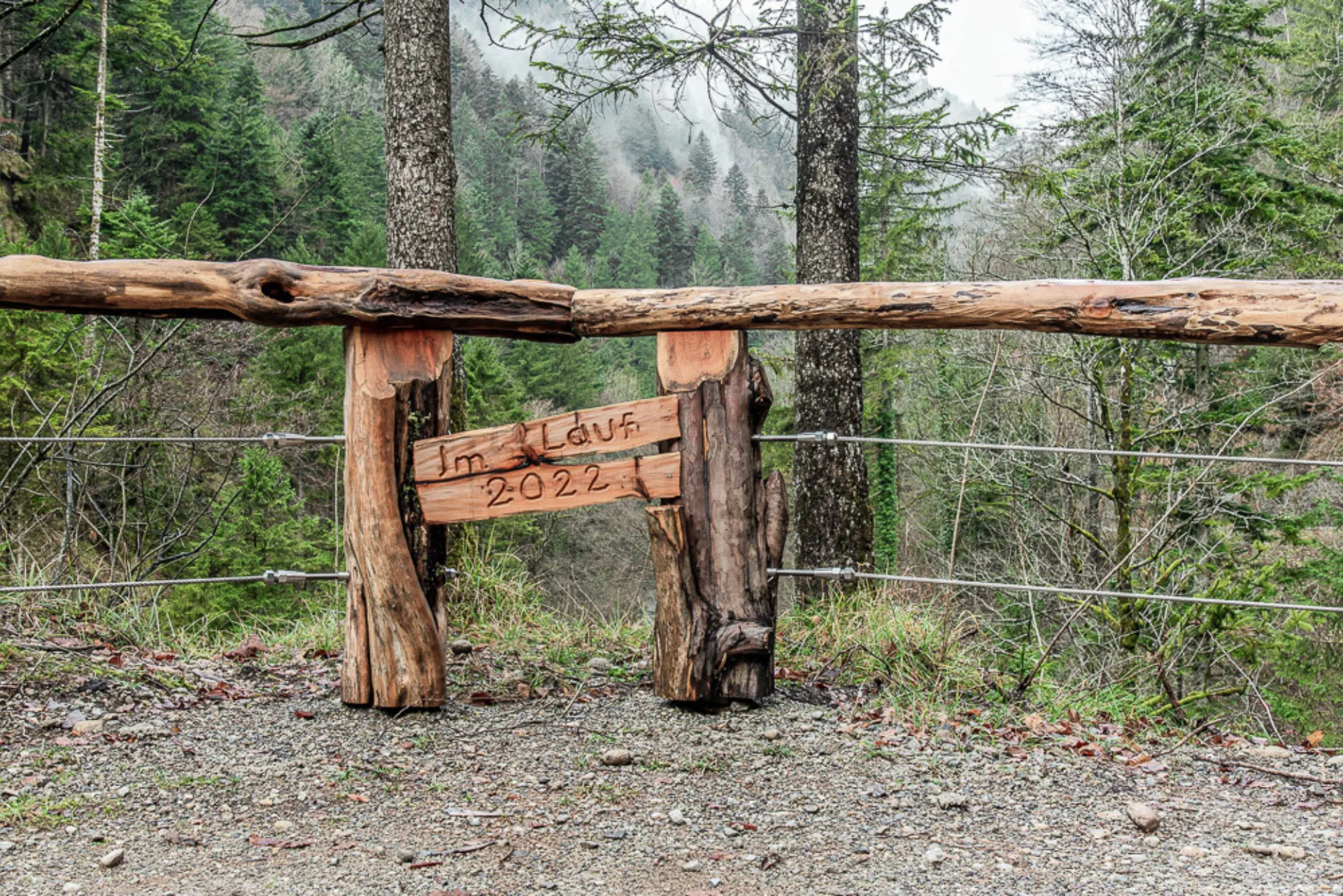 Öffentliche Baute Bachgeländer, Wald