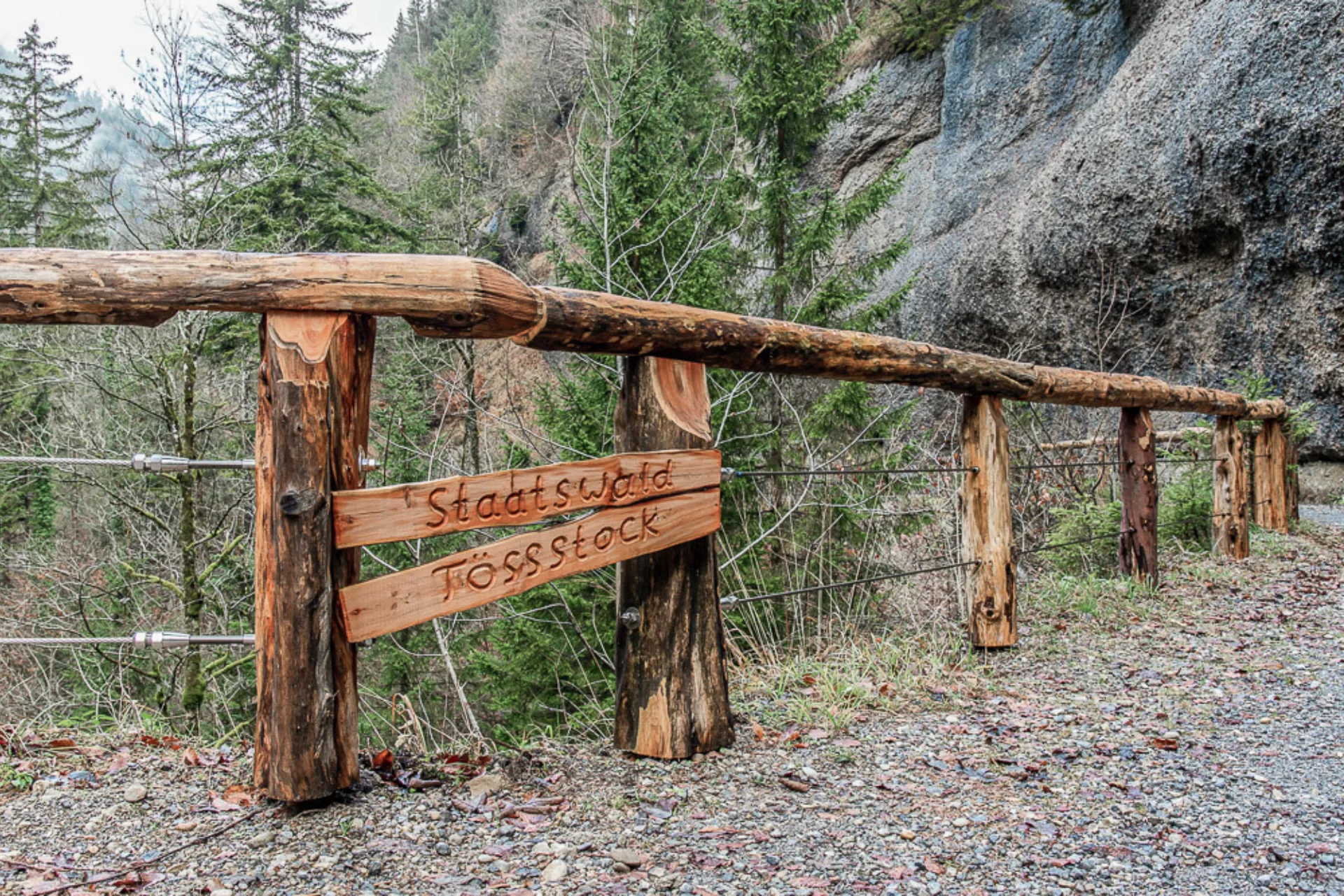 Oeffentliche Baute Bachgelaender, Wald
