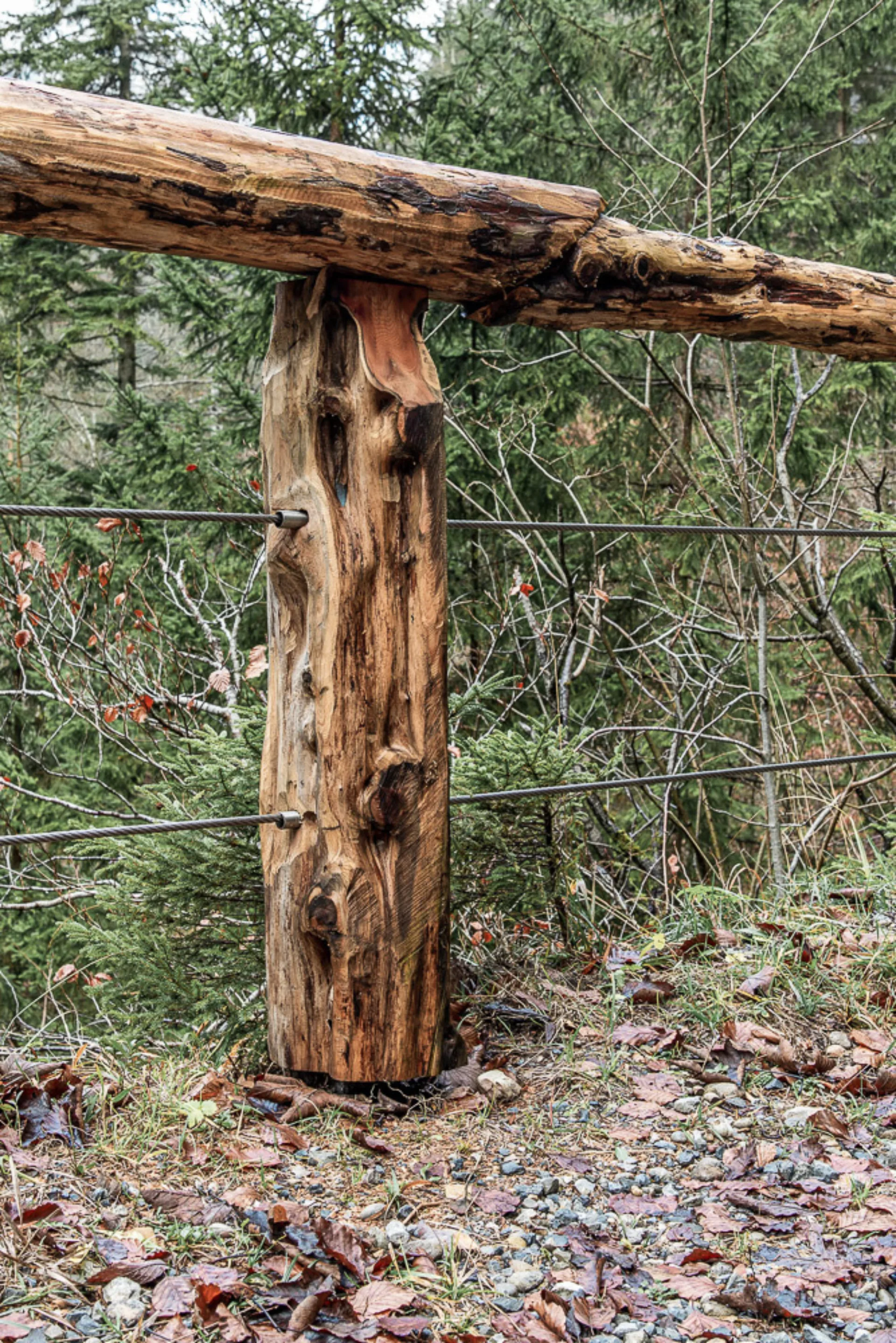 Oeffentliche Baute Bachgelaender, Wald