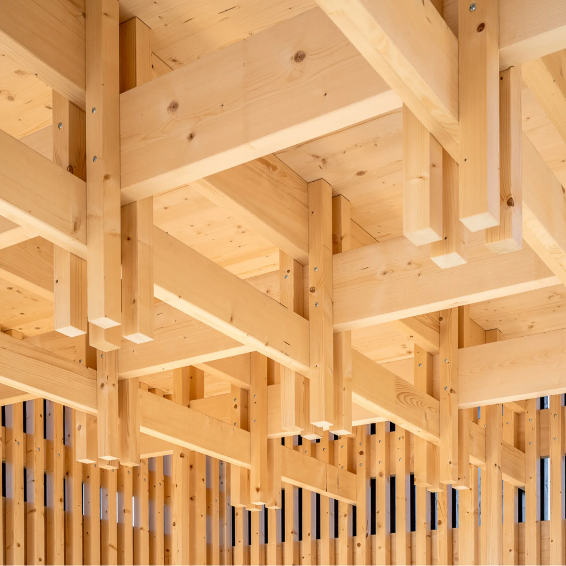 Pavillon Hardau Winterthur